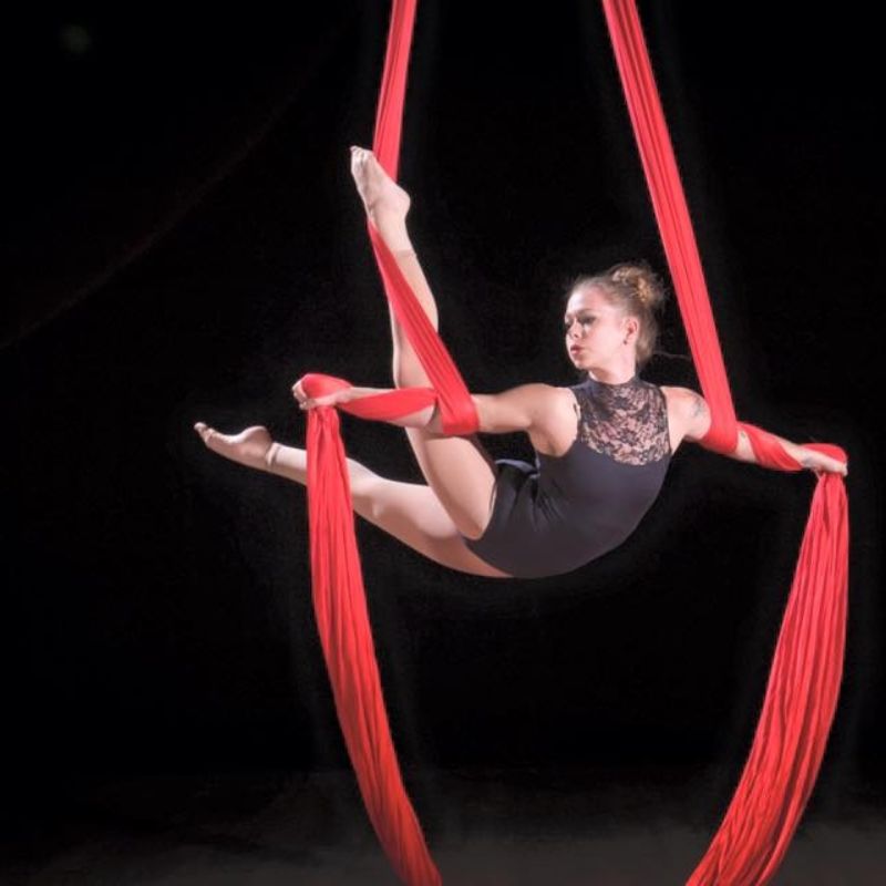 Aerial Silks Performer in Jacksonville Florida
